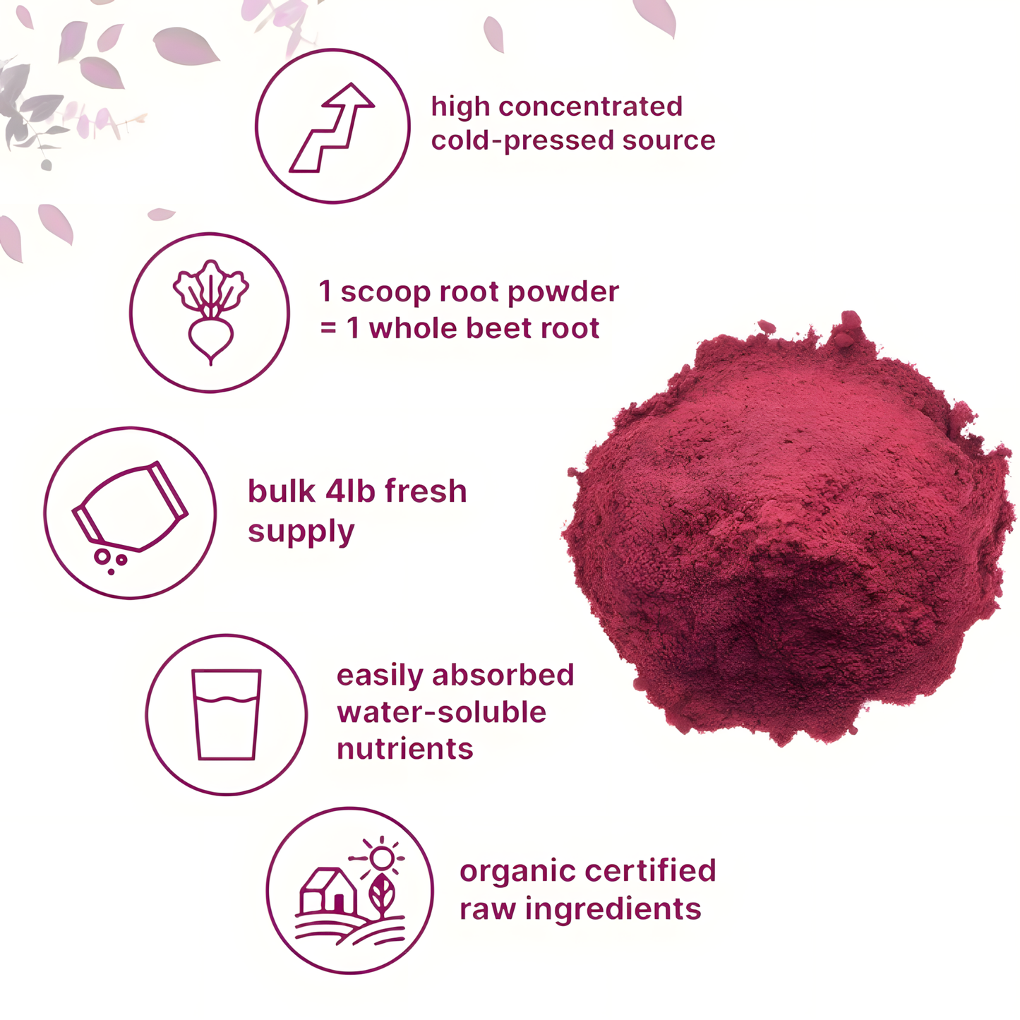 Symple Organic Beet Root Powder